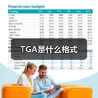 TGA是什么格式