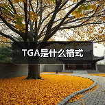 TGA是什么格式（图4）