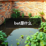 bat是什么