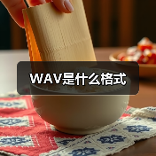 WAV是什么格式