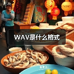 WAV是什么格式（图2）