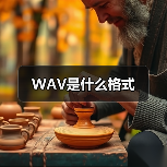 WAV是什么格式（图3）