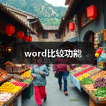 word比较功能