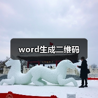 word生成二维码