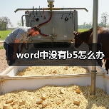 word中没有b5怎么办