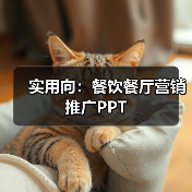 实用向：餐饮餐厅营销推广PPT