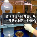转换通道PPT图表：从一种状态到另一种状态