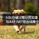 SQL存储过程分页实现与ASP.NET后台调用全解析