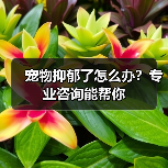 宠物抑郁了怎么办?专业咨询能帮你(图1) 宠物抑郁了怎么办?专业咨询能帮你(图1)