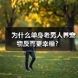 为什么单身老男人养宠物反而更幸福?(图2) 为什么单身老男人养宠物反而更幸福?(图2)