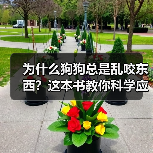 为什么狗狗总是乱咬东西?这本书教你科学应对(图3) 为什么狗狗总是乱咬东西?这本书教你科学应对(图3)