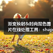 渐变映射&时尚双色图片在线处理工具：shapefactory