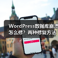 WordPress数据库崩溃怎么修?两种修复方法详解(图3) WordPress数据库崩溃怎么修?两种修复方法详解(图3)