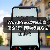 WordPress数据库崩溃怎么修?两种修复方法详解(图4) WordPress数据库崩溃怎么修?两种修复方法详解(图4)