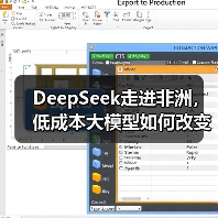 DeepSeek走进非洲，低成本大模型如何改变AI格局？