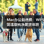Mac办公新选择：WPS简洁版纯净高效体验
