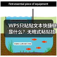 WPS只粘贴文本快捷键是什么?无格式粘贴技巧大全(图3) WPS只粘贴文本快捷键是什么?无格式粘贴技巧大全(图3)