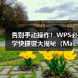 告别手动操作!WPS必学快捷键大揭秘(Mac/Windows通用)(图4) 告别手动操作!WPS必学快捷键大揭秘(Mac/Windows通用)(图4)