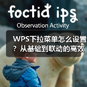 WPS下拉菜单怎么设置?从基础到联动的高效技巧(图3) WPS下拉菜单怎么设置?从基础到联动的高效技巧(图3)