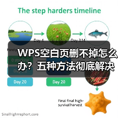 WPS空白页删不掉怎么办？五种方法彻底解决多余页面问题