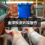 全球投资环境报告(图2) 全球投资环境报告(图2)