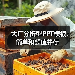 大厂分析型PPT模板:简单和颜值并存(图4) 大厂分析型PPT模板:简单和颜值并存(图4)