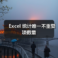 Excel 统计唯一不重复项数量(图1) Excel 统计唯一不重复项数量(图1)