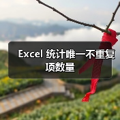 Excel 统计唯一不重复项数量(图2) Excel 统计唯一不重复项数量(图2)