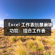 Excel 工作表批量编辑功能:组合工作表(图4) Excel 工作表批量编辑功能:组合工作表(图4)