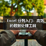 Excel 分列入门:高效的数据处理工具(图1) Excel 分列入门:高效的数据处理工具(图1)