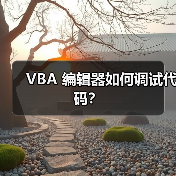 VBA 编辑器如何调试代码?(图3) VBA 编辑器如何调试代码?(图3)
