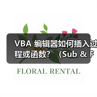 VBA 编辑器如何插入过程或函数?(Sub & Function)(图2) VBA 编辑器如何插入过程或函数?(Sub & Function)(图2)