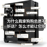 为什么我家狗狗总是不听话?怎么才能让它听我的?(图2) 为什么我家狗狗总是不听话?怎么才能让它听我的?(图2)