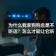 为什么我家狗狗总是不听话?怎么才能让它听我的?(图1) 为什么我家狗狗总是不听话?怎么才能让它听我的?(图1)