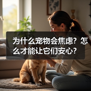 为什么宠物会焦虑?怎么才能让它们安心?(图1) 为什么宠物会焦虑?怎么才能让它们安心?(图1)