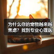 为什么你的宠物越来越焦虑?找到专业心理医生是关键(图3) 为什么你的宠物越来越焦虑?找到专业心理医生是关键(图3)