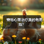 宠物心理治疗真的有用吗？