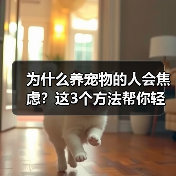 为什么养宠物的人会焦虑？这3个方法帮你轻松应对