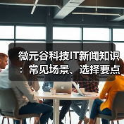 微元谷科技IT新闻知识：常见场景、选择要点与注意事项