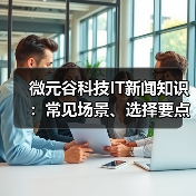 微元谷科技IT新闻知识:常见场景、选择要点与注意事项(图3) 微元谷科技IT新闻知识:常见场景、选择要点与注意事项(图3)