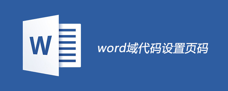Word文档分栏页面插入页码的详细步骤指南与域代码使用方法(图1) word怎么使用域代码设置页码