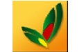 新版出生证明打印软件 30.0.1(图1)