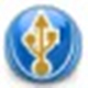 USB Disks Access Manager 1.0