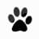 W10 LOGON BG Changer 1.3.0