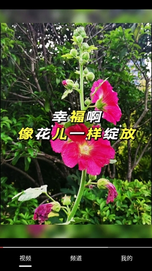 开心刷刷看app最新版 开心刷刷看app最新版
