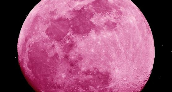 MOON社交app官方版 MOON社交app官方版