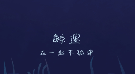 鲸遇交友官方版 鲸遇交友官方版