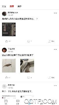 多彩体育app安卓版