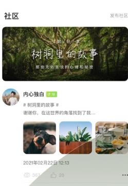 树洞倾诉app最新版 树洞倾诉app最新版