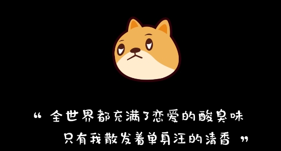 真橙相亲Plus版官方版